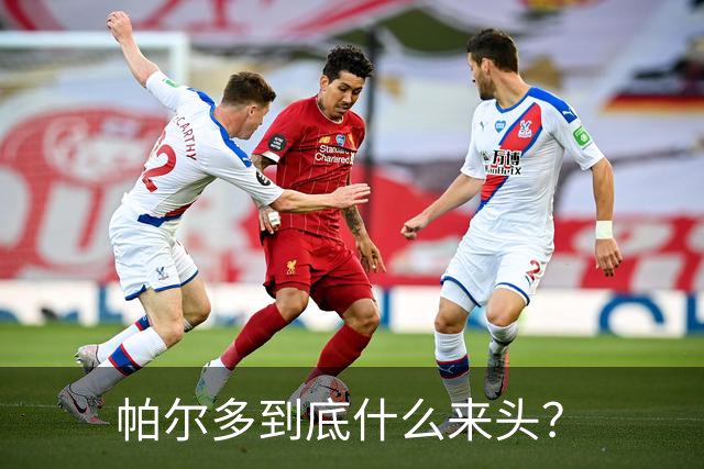 帕尔多到底什么来头？