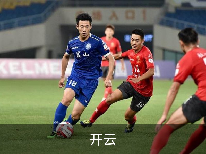 开云简介