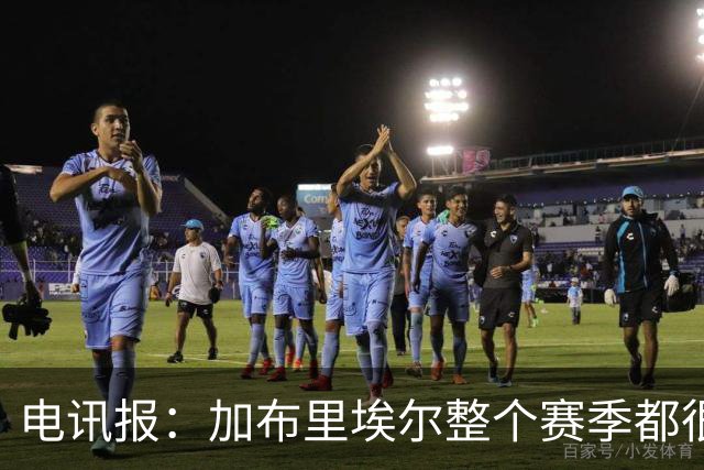电讯报：加布里埃尔整个赛季都很强大，让他承受如此命运实在残酷