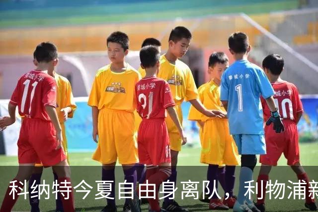 科纳特今夏自由身离队，利物浦新中卫阵容再迎变革！